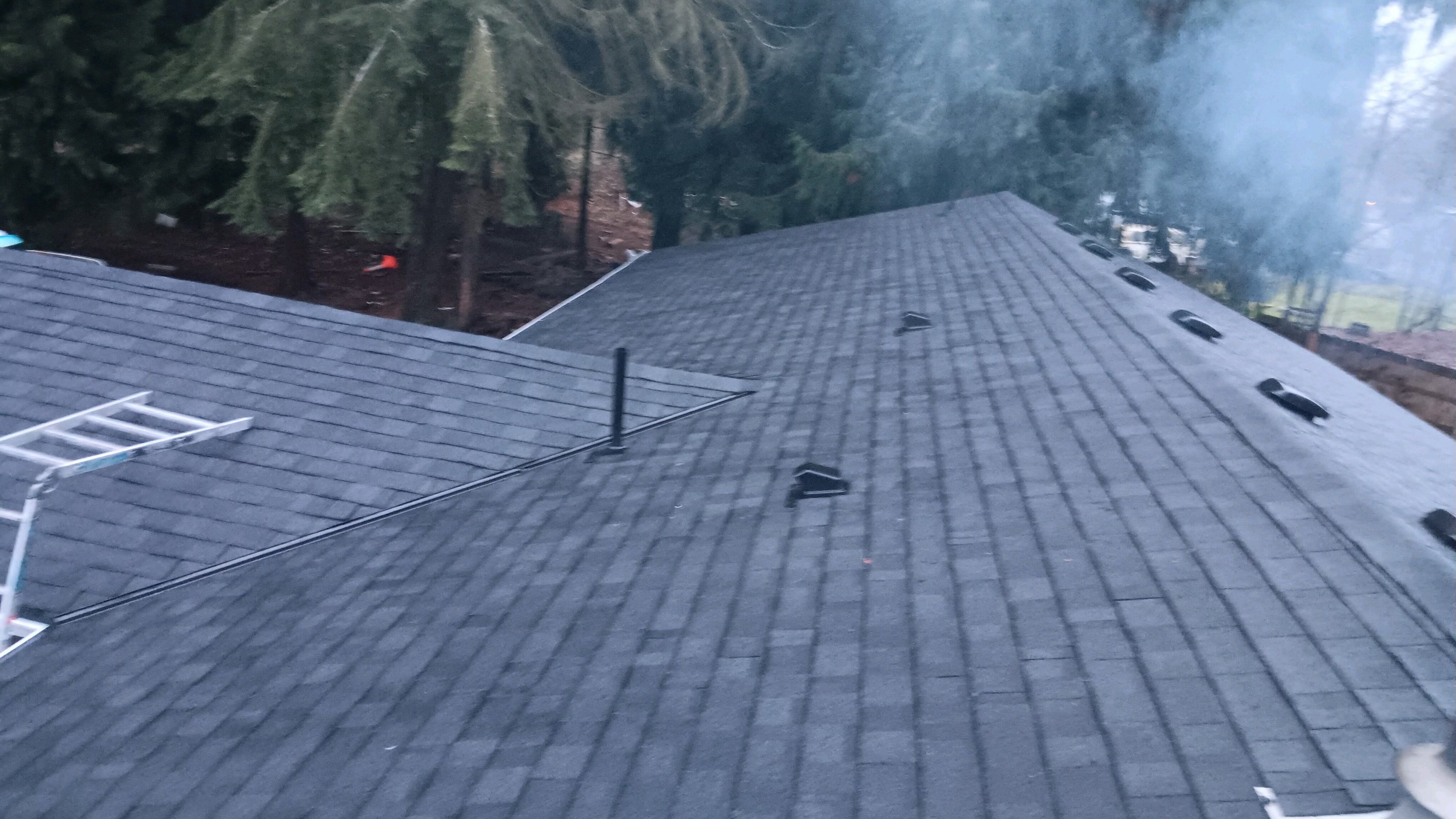 Newly installed dark gray asphalt shingle roof with vents and surrounding trees.