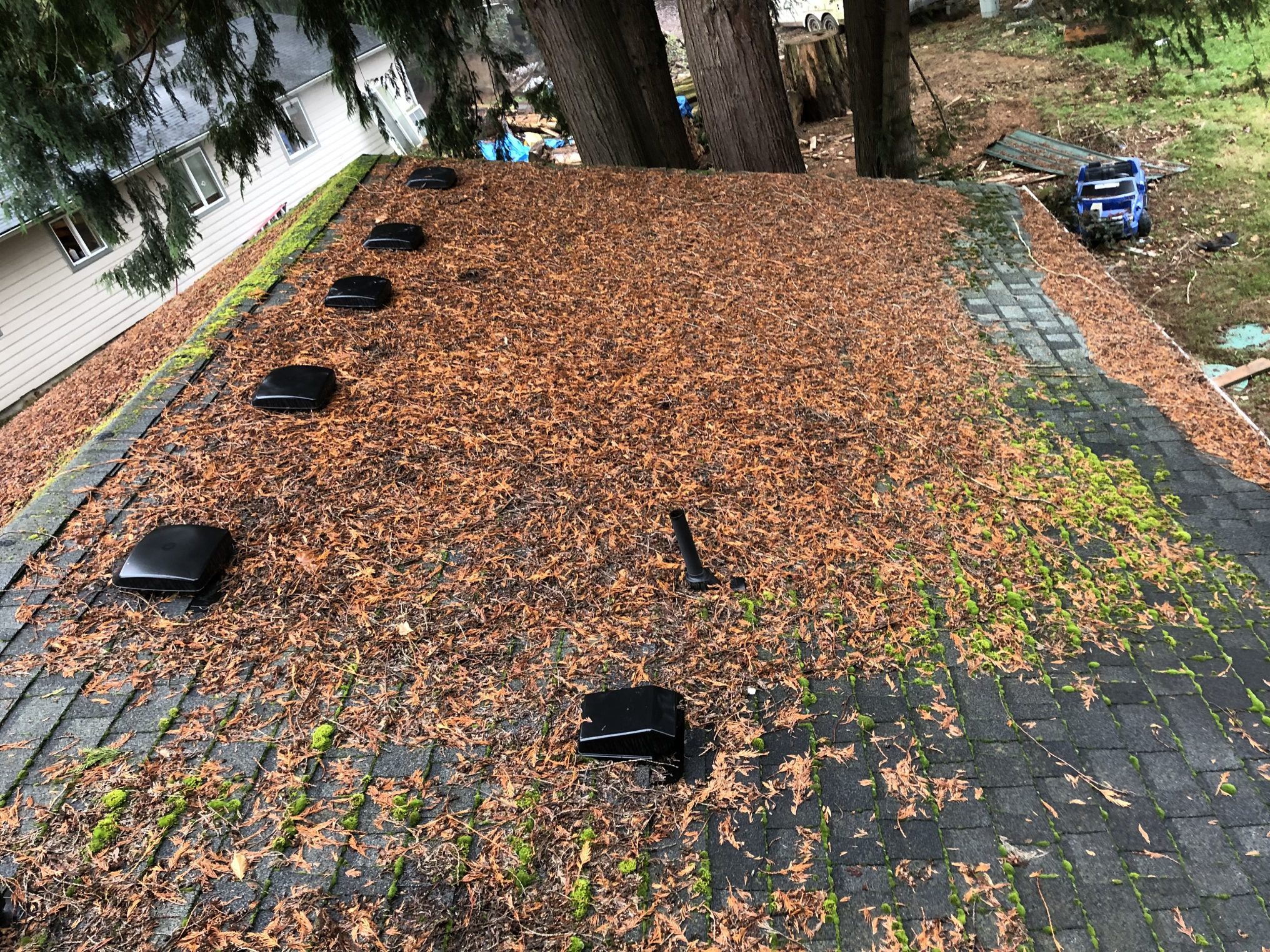 Roof covered in leaves with multiple missing roof tiles.