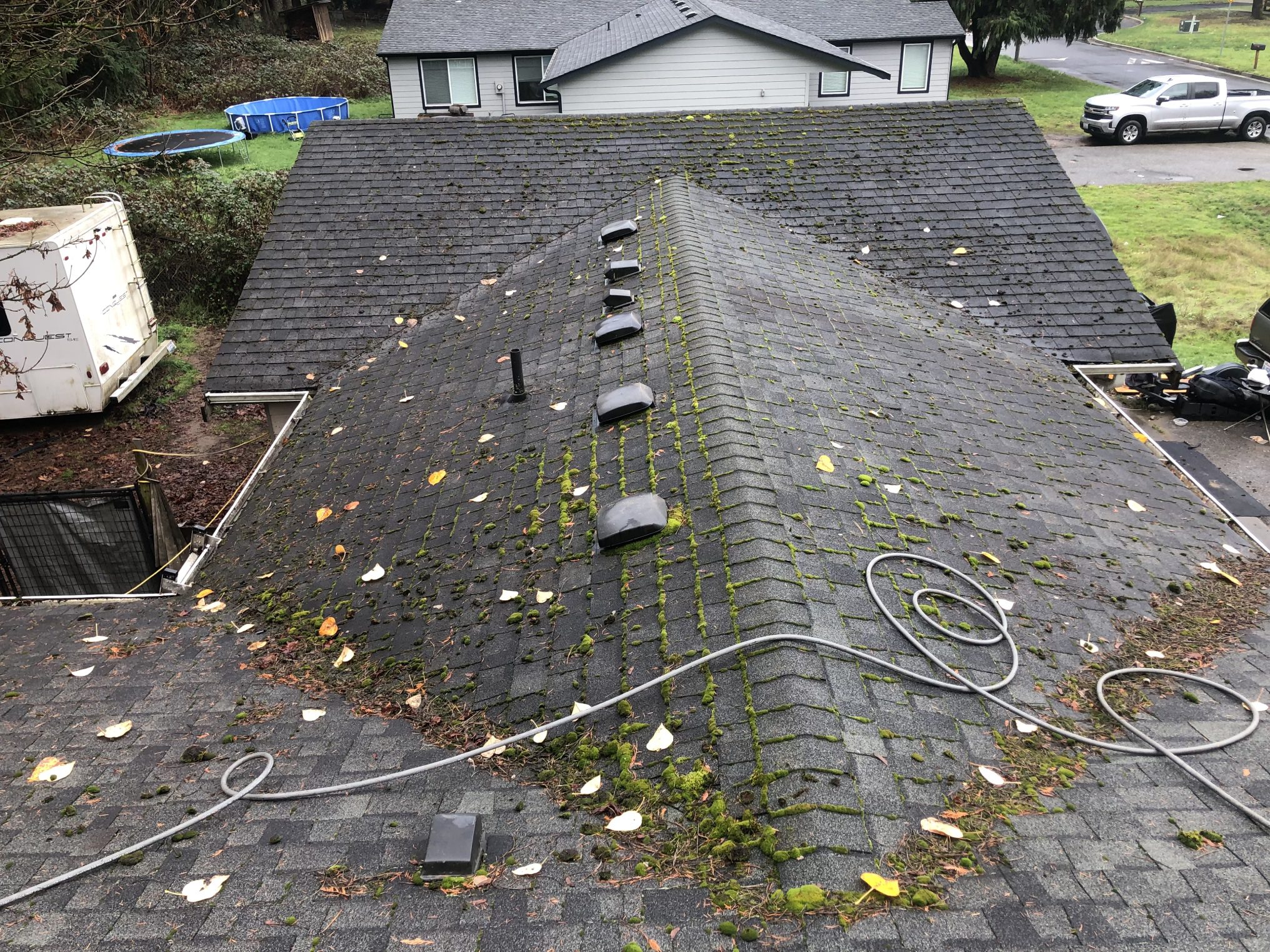 A moss-covered roof with scattered leaves and debris.