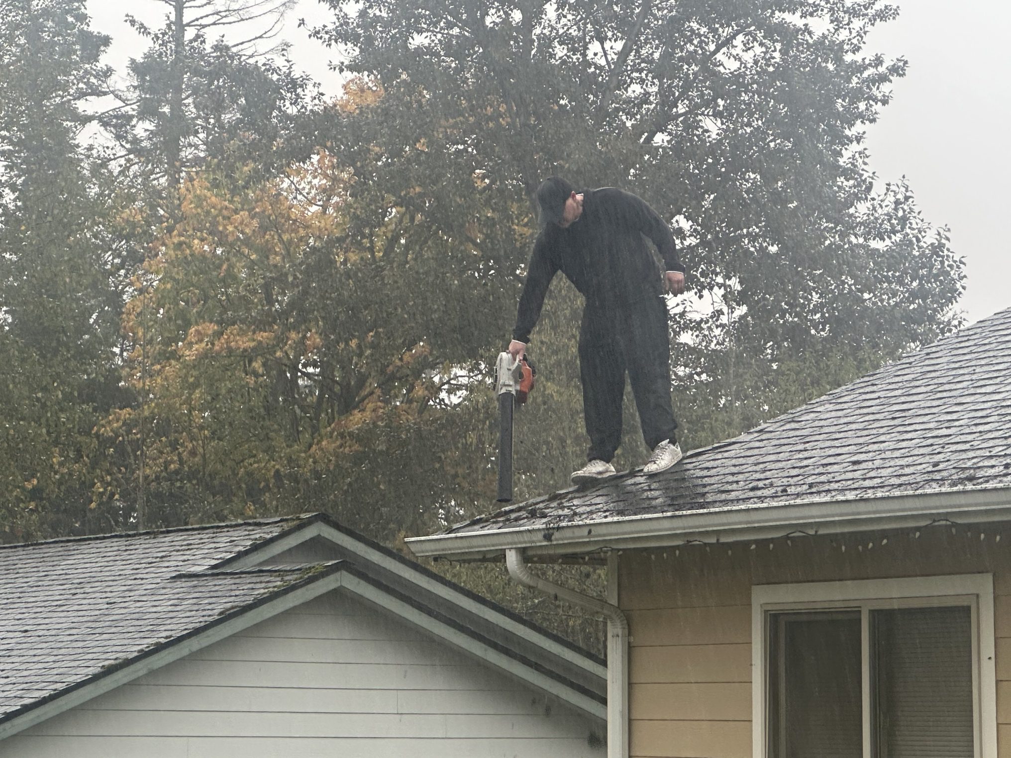 Person standing on a roof holding a long tool near trees.